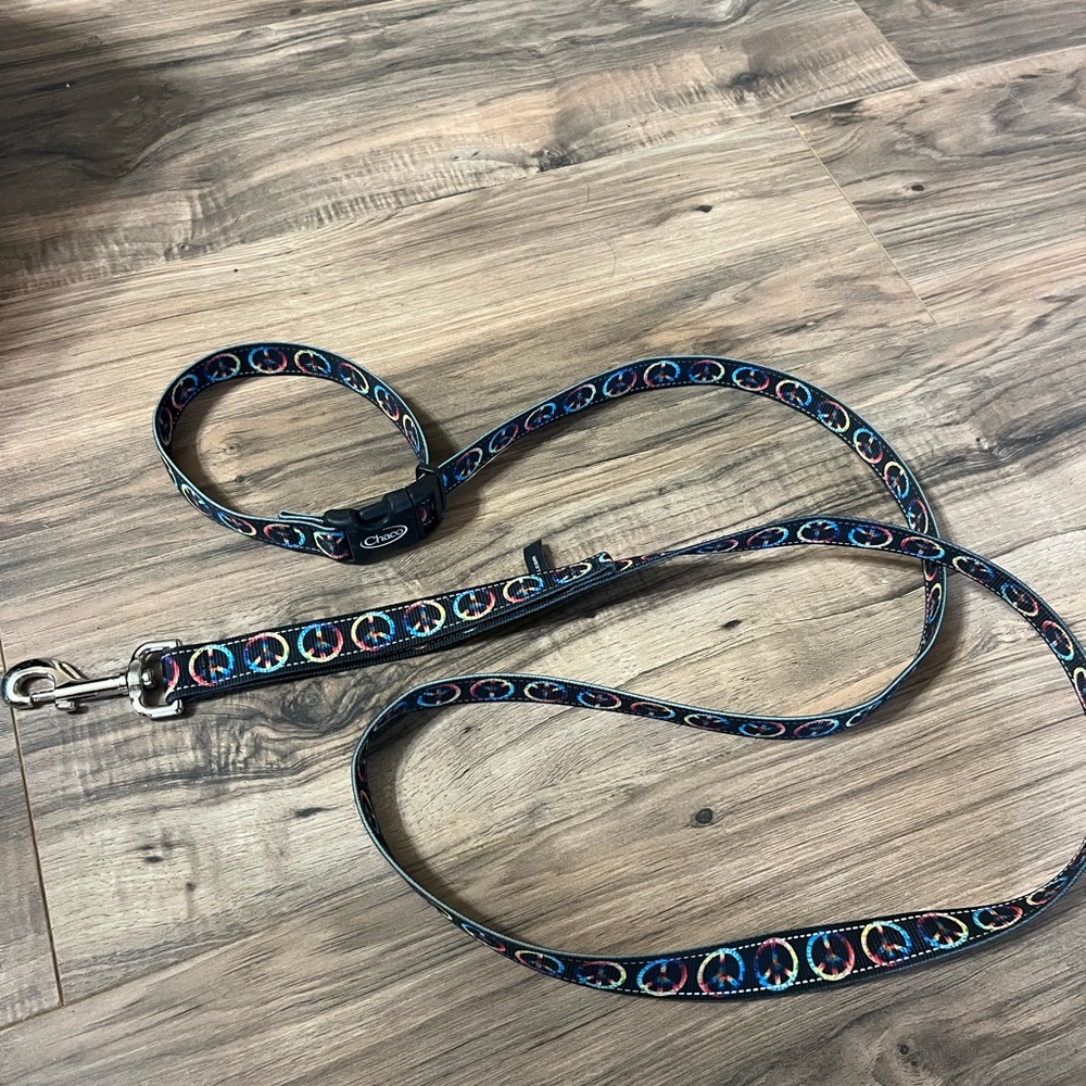 Chaco Dog Leash